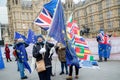 Pro EU protesters outside the Houses of Parliament