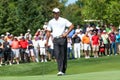 Pro golfer Tiger Woods Royalty Free Stock Photo