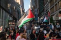 Pro-Palestine, anti-Israel protest in New York during Gaza war