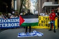 Pro-Palestine, anti-Israel protest in New York during Gaza war