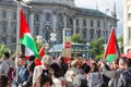 Pro-Palestinian activists at the demonstrations