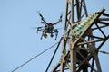 Pro quadcopter with camera aboard flying in a sky, electric pylon, cables and insulators on the background Royalty Free Stock Photo