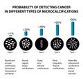 The probability of detecting breast cancer with different types of microcalcinates. Mammography. Infographics.