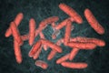 Probiotic bacteria, normal intestinal microbiota