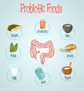 Probiotic Foods Hand Drawn Vector Illustration