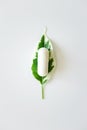 Probiotic supplement capsule on plant leaf on white background, top view. Alternative medicine