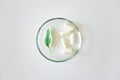 Probiotic supplement in capsules and plant leaf in glass petri dish on white background, above. Concept dietary supplement natural