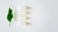 Probiotic supplement in capsules and plant leaf on white background with copy space, above. Alternative medicine