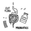Probiotic vector concept illustration. Gut flora. Royalty Free Stock Photo