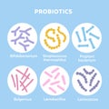 Probiotics bacteria set. Gut microbiota with healthy prebiotic bacillus. Lactobacillus, streptococcus, bifidobacteria