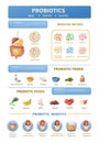 Probiotics Cartoon Icons Infographics