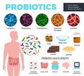 Probiotics And Health Set Royalty Free Stock Photo