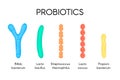 Probiotics. Lactic acid bacterium. Bifidobacterium, lactobacillus, streptococcus thermophilus, lactococcus Royalty Free Stock Photo