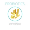 Probiotics Lactobacilli, vector illustration.