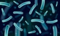 Probiotics Lactobacillus for restoring the intestinal flora, 3D realistic vector illustration