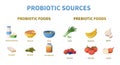 Probiotics Sources Cartoon Infographics