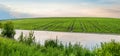 flooding of agricultural fields due to heavy rains