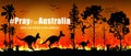 Problems forest fire burns in Australia. Forest fires with silhouette of wild animals Kangaroo, Koala, Monkey, Snake, and Bird.