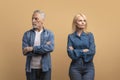 Upset unhappy elderly married couple have quarrel