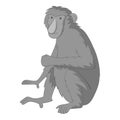 Proboscis monkey icon monochrome