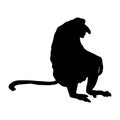Proboscis Monkey Silhouette. Good To Use For Element Print Book, Animal Book and Animal Content