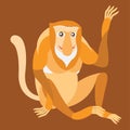 Proboscis Monkey. Vector illustration.