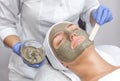 The procedure for applying a mask from clay to the face of a beautiful woman.