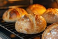 the process of baking round bread in the oven. Royalty Free Stock Photo