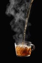 Process brewing tea on black background. Transparent glass cup of freshly brewed black tea steaming isolated