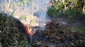 Process of burning trash and weeds