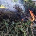 Process of burning trash and weeds