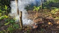 the process of burning waste in the garden