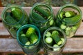 The process of canning pickled gherkins, pickles cucumbers in glass jars