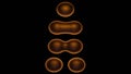 Cell dividing . Mitochondria splitting, DNA replication. 3d render illustration 7