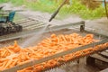 The process of cleaning freshly harvested carrots from the soil using pressure washer. Eco friendly products. Agriculture. Farming Royalty Free Stock Photo