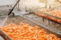 The process of cleaning freshly harvested carrots from the soil using pressure washer. Eco friendly products. Agriculture. Farming Royalty Free Stock Photo