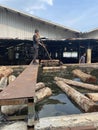 The process of cleaning logs in a pond before being processed by a rotary machine.