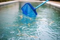 Cleaning swimming pool of fallen leaves with special skimmer mesh equipment Royalty Free Stock Photo