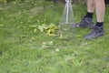 Process of cleansing the lawn from fallen leaves with rakes