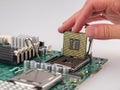 The process of connecting the CPU to the processor socket on a modern computer motherboard, replacing the silicon data processing Royalty Free Stock Photo