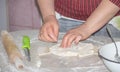 In the process of cooking cheese pies - women hands working with dough