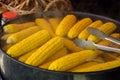 Process of cooking fresh mature corn. Sale of freshly boiled hot corn at fair. Natural yellow background. Close-up.