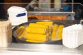 Process of cooking fresh mature yellow corn. Sale of freshly boiled hot corn at fair. Close-up. Selective focus.