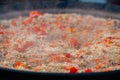 Process of cooking paella shrimp, mussel, rice, tomato in huge pan - close up