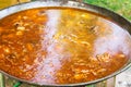 Process of cooking Spanish Valencian paella or jambalaya in large flat frying pan. Ingredients meat, rice, vegetables, simmering