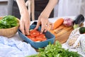 Process of cooking vegetables with hands, tomatoes placed in baking dish, vegetarian dinner Royalty Free Stock Photo