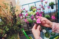 Process of creating a bouquet florist flower shop close-up. Woman hands and implement.