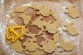 Process of cutting gingerbread cookies in the form of a rabbit