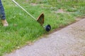 The process of cutting the lawn with cordless grass trimmer edger Royalty Free Stock Photo