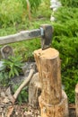 The process of cutting wood with a cleaver. Axe in the log Royalty Free Stock Photo